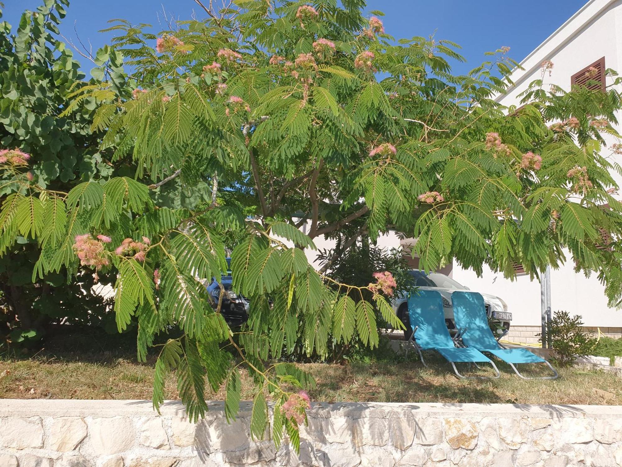 Apartmani Kunteja Pag Town Bagian luar foto